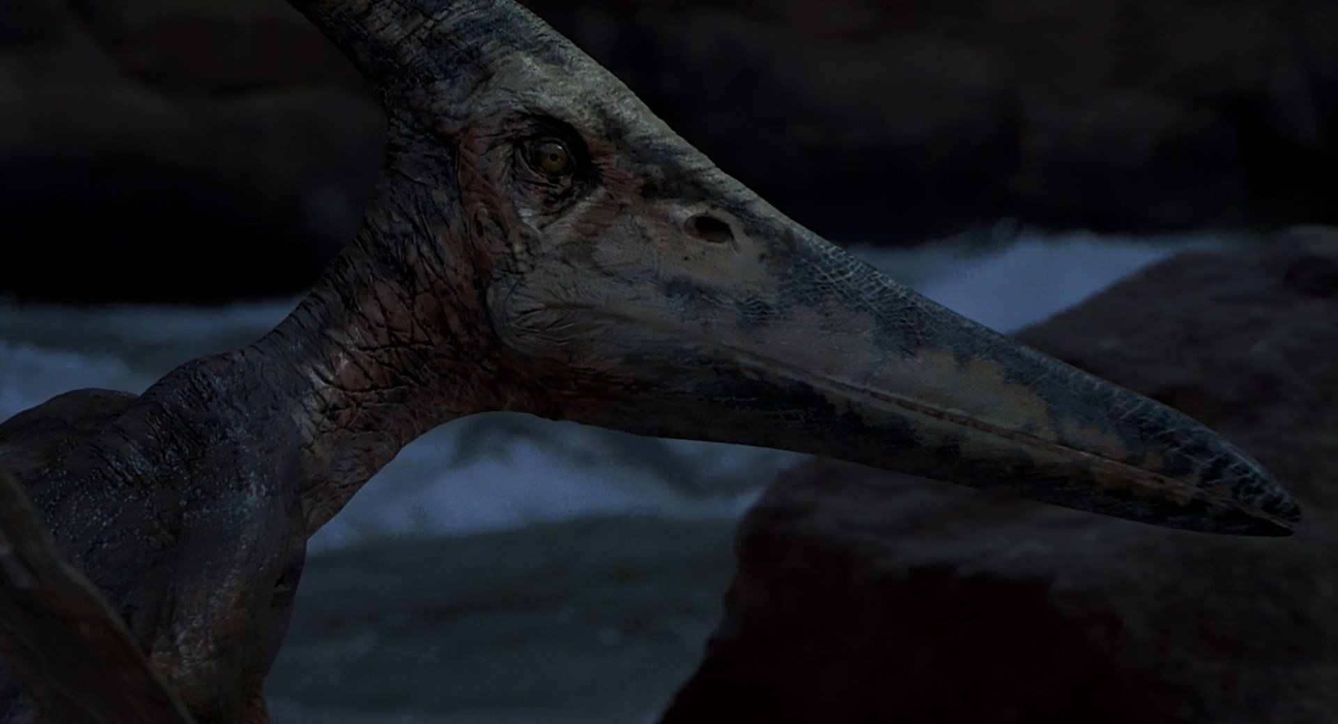 Pteranodon The Lost World Jurassic Park 3 Jurassic World - 